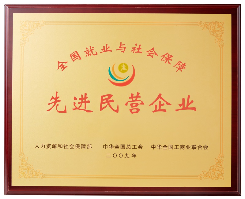 全國(guó)就業(yè)與社會(huì)保障先進(jìn)民營(yíng)企業(yè)（2009）