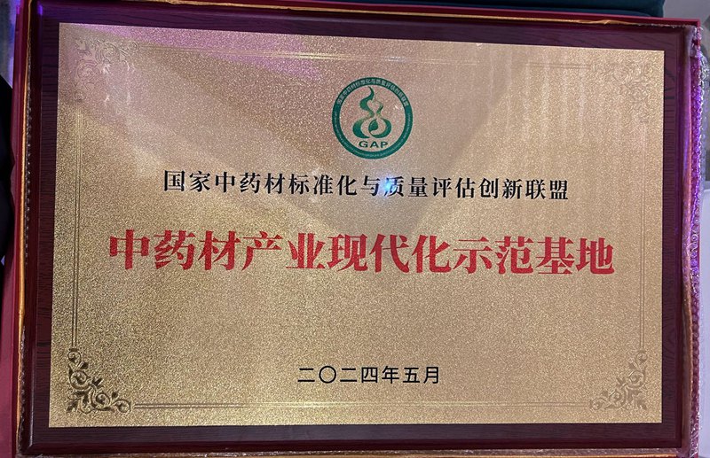 中藥產業(yè)現(xiàn)代化示范基地（2024）
