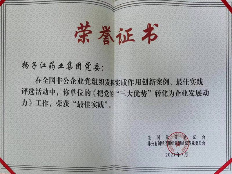 全國非公企業(yè)黨組織發(fā)揮實質(zhì)作用最佳實踐（2021）